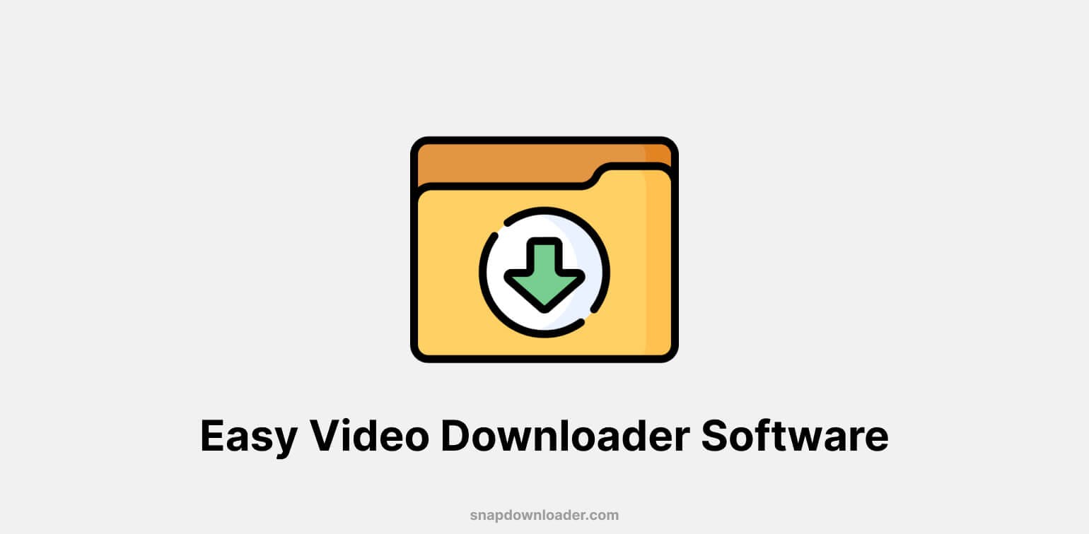 Easy Video Downloader Software To Use in 2024
