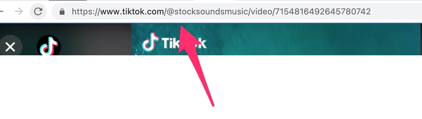 copy tiktok link from browser