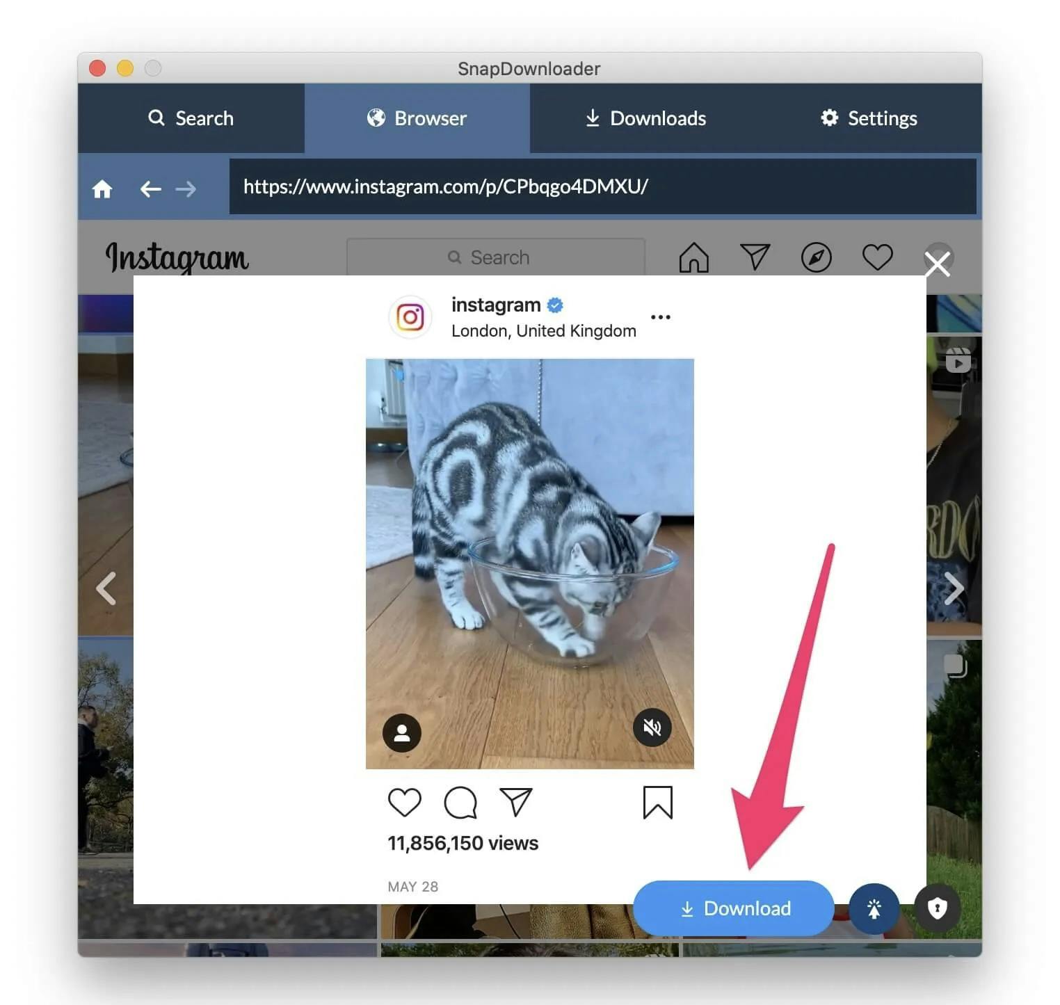 download audio from Instagram